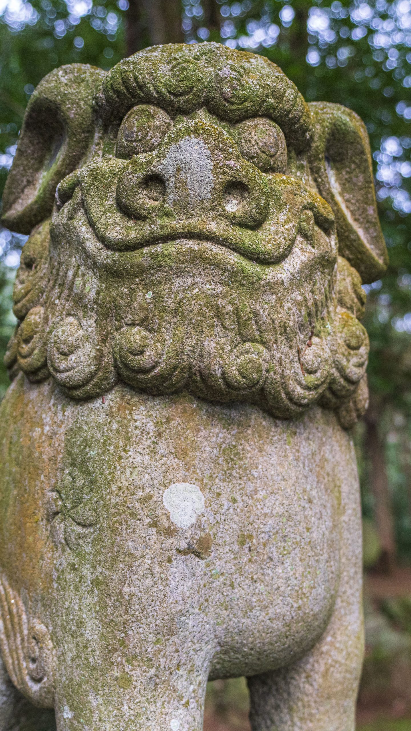 九木神社の狛犬(三重県尾鷲市・九鬼町)
