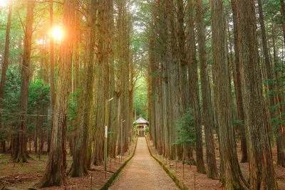 無料壁紙 尾高観音の参道。PCとデスクトップ壁紙に最適な4K高画質の無料壁紙。三重県菰野町の尾高観音で撮影したフリー写真素材