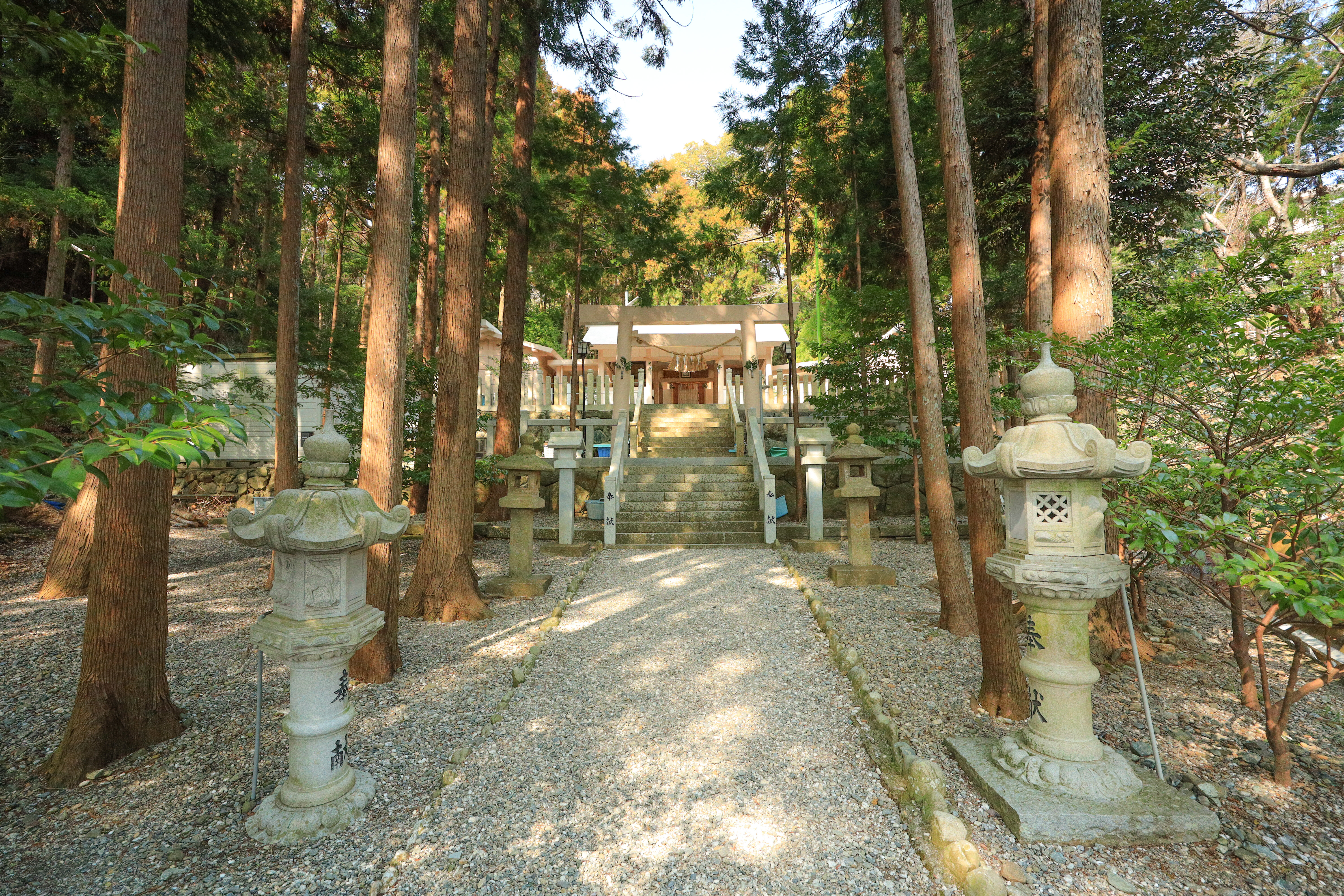 無料壁紙 若宮神社の参道。PCとデスクトップ壁紙に最適な4K高画質の無料壁紙。三重県鳥羽市の坂手島で撮影したフリー写真素材