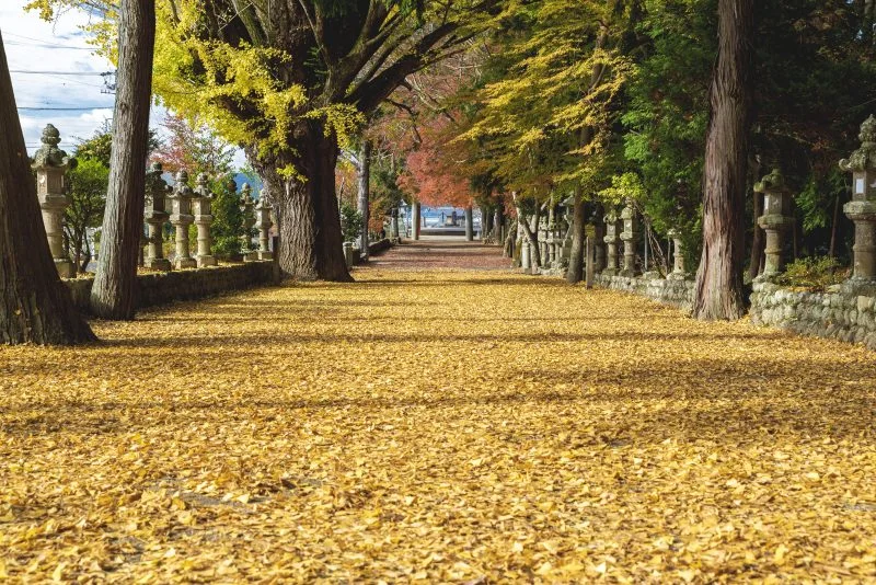 無料壁紙 積田神社。PCとデスクトップ壁紙に最適な4K高画質の無料壁紙。三重県名張市の積田神社で撮影したフリー写真素材
