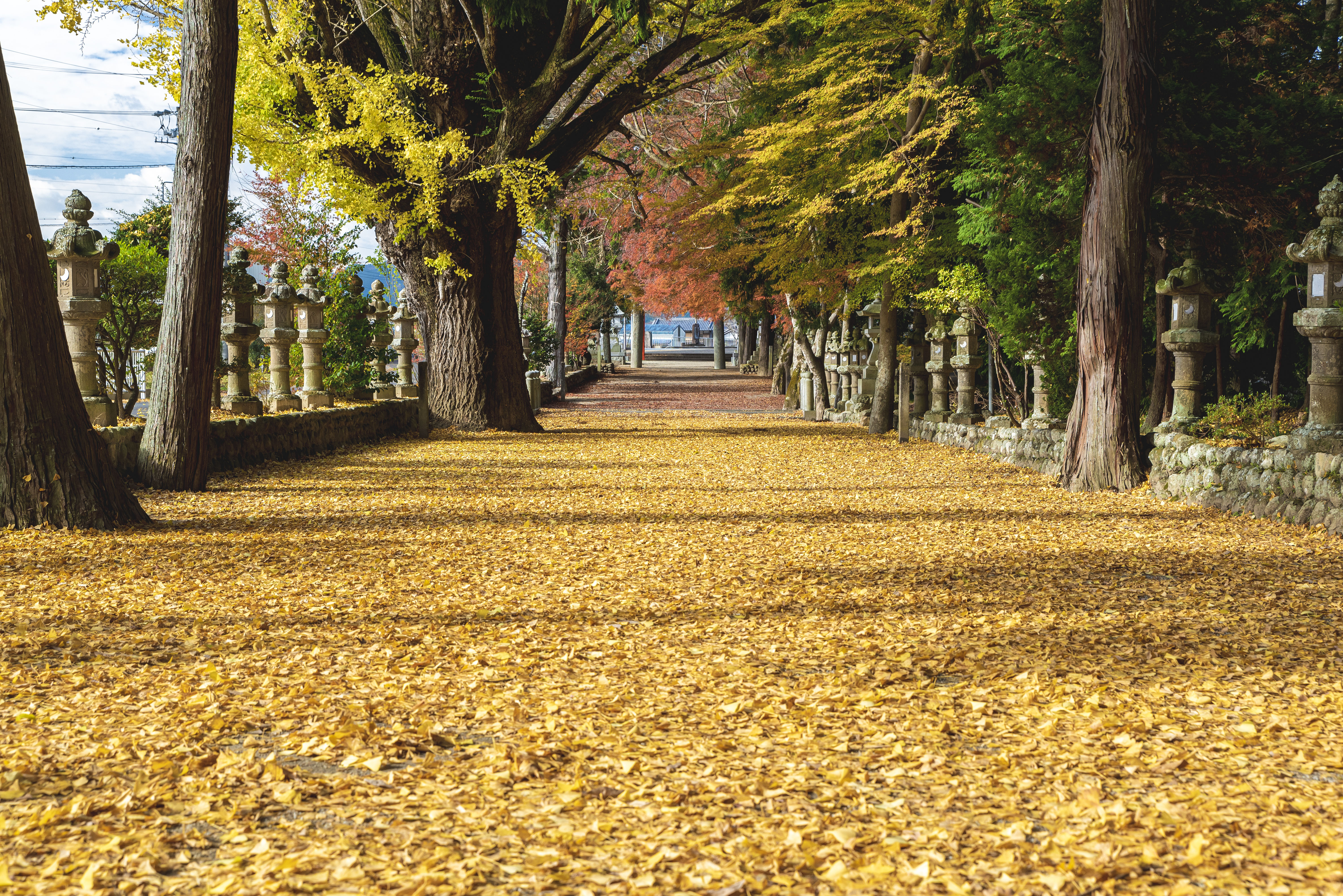 無料壁紙 積田神社。PCとデスクトップ壁紙に最適な4K高画質の無料壁紙。三重県名張市の積田神社で撮影したフリー写真素材