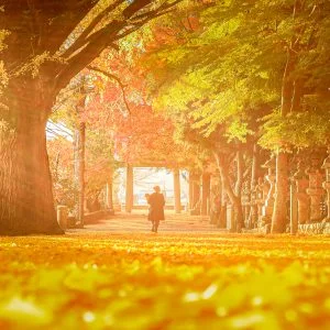 積田神社のフリー写真素材