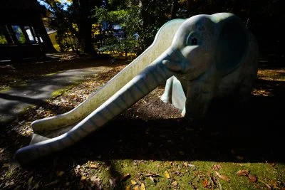 無料壁紙 お鼻が長いのよ。PCとデスクトップ壁紙に最適な4K高画質の無料壁紙。三重県名張市の積田神社で撮影したフリー写真素材