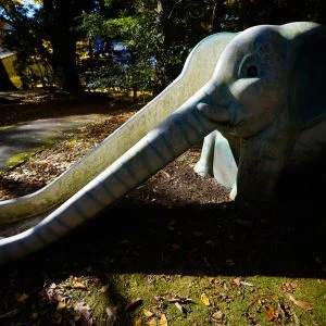 無料壁紙 お鼻が長いのよ。PCとデスクトップ壁紙に最適な4K高画質の無料壁紙。三重県名張市の積田神社で撮影したフリー写真素材