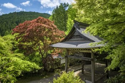 無料壁紙 泰運寺の新緑。PCとデスクトップ壁紙に最適な4K高画質の無料壁紙。三重県松阪市の天開山泰運寺で撮影したフリー写真素材