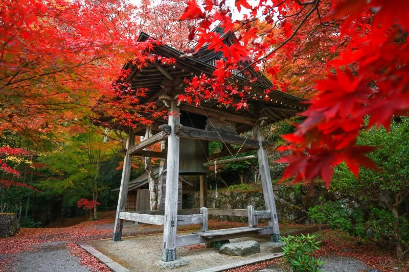 無料壁紙 真っ赤な紅葉に包まれて。PCとデスクトップ壁紙に最適な4K高画質の無料壁紙。三重県松阪市の天開山泰運寺で撮影したフリー写真素材