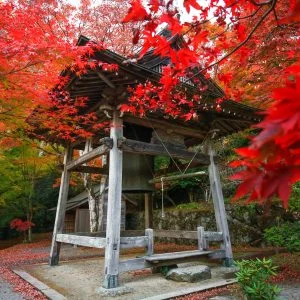 天開山泰運寺のフリー素材・壁紙