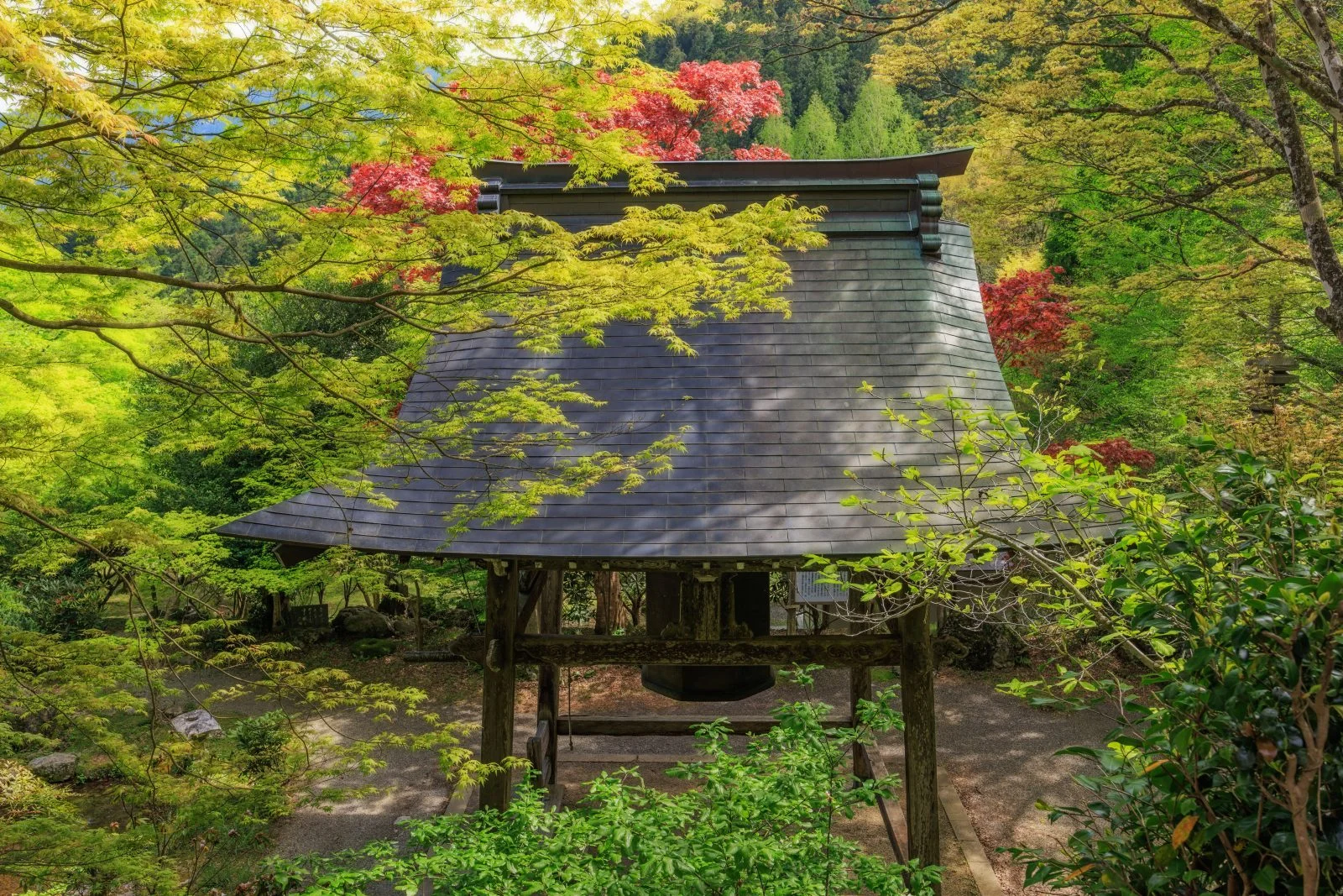 無料壁紙 新緑に包まれる八角銅鐘。PCとデスクトップ壁紙に最適な4K高画質の無料壁紙。三重県松阪市の天開山泰運寺で撮影したフリー写真素材