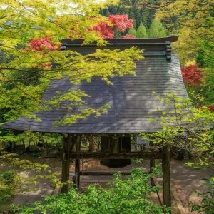 無料壁紙 新緑に包まれる八角銅鐘。PCとデスクトップ壁紙に最適な4K高画質の無料壁紙。三重県松阪市の天開山泰運寺で撮影したフリー写真素材