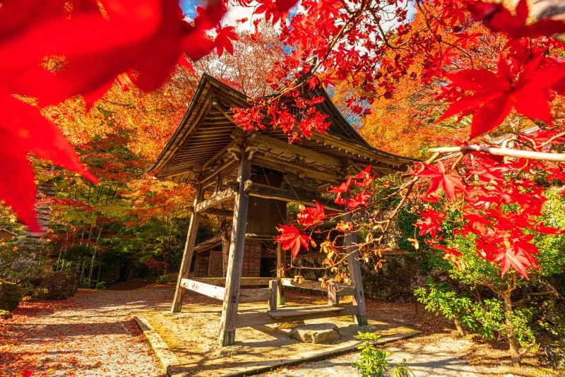 無料壁紙 紅葉に包まれた八角銅鐘。PCとデスクトップ壁紙に最適な4K高画質の無料壁紙。三重県松阪市の天開山泰運寺で撮影したフリー写真素材