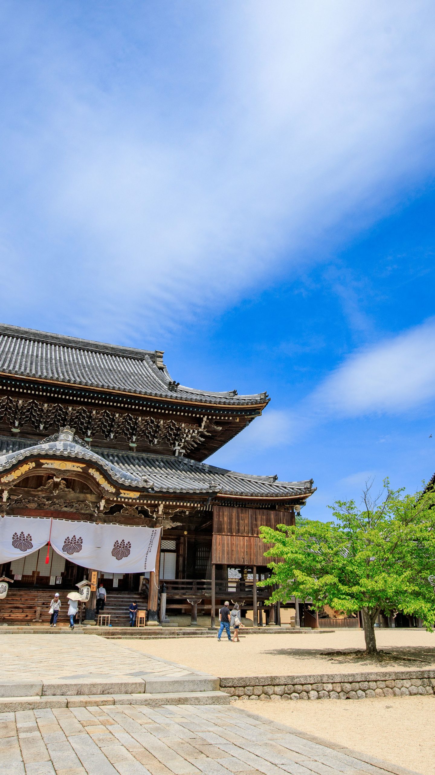 初夏の青空と如来堂と御影堂(三重県津市・高田本山専修寺)