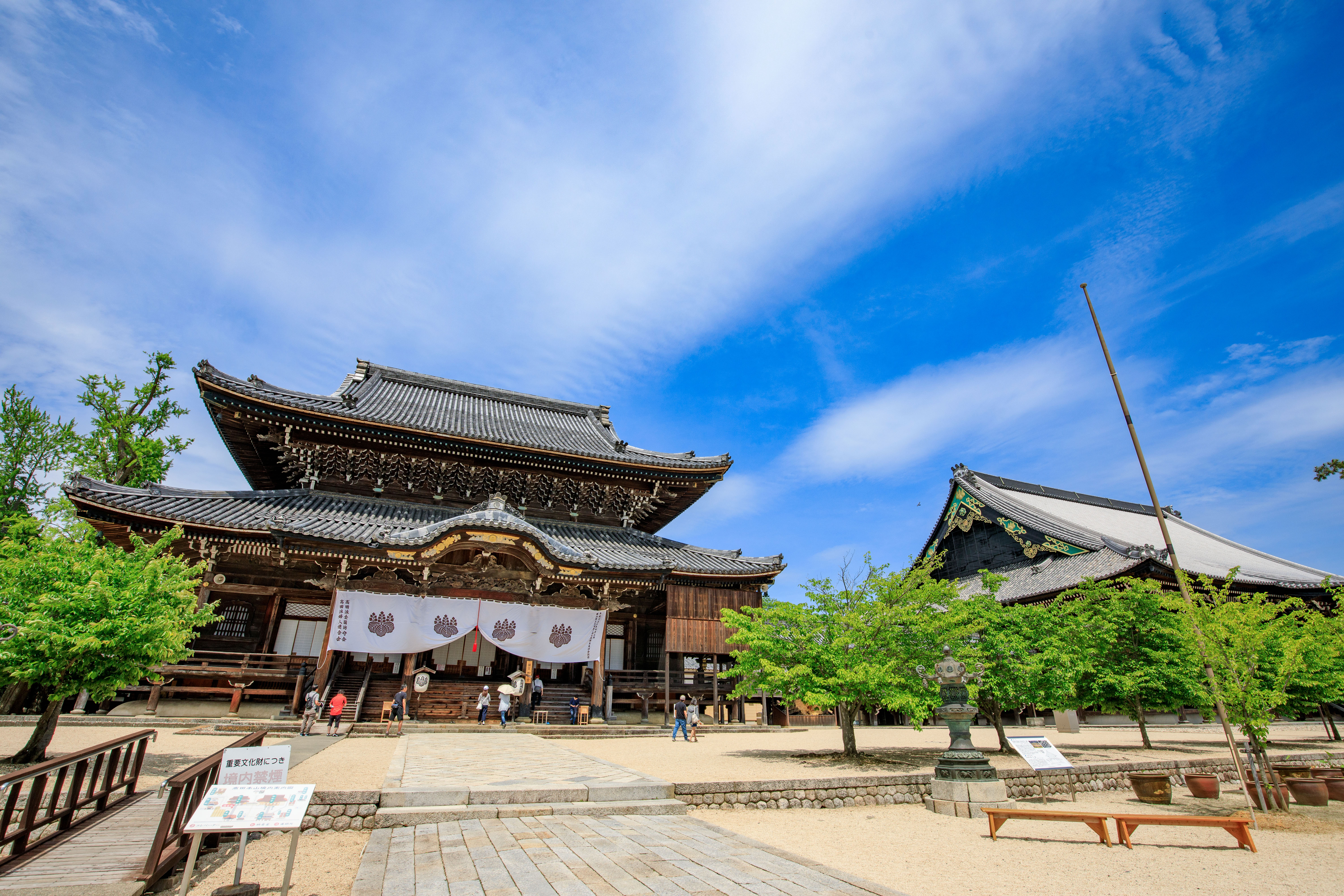 高田本山専修寺のフリー写真素材「初夏の青空と如来堂と御影堂