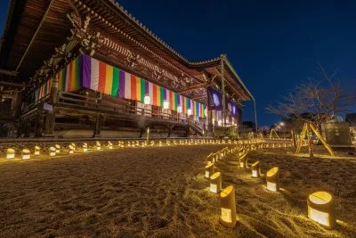 無料壁紙 御影堂近くの竹あかり。PCとデスクトップ壁紙に最適な4K高画質の無料壁紙。三重県津市の高田本山専修寺で撮影したフリー写真素材