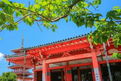 無料壁紙 新緑の津観音。PCとデスクトップ壁紙に最適な4K高画質の無料壁紙。三重県津市の津観音で撮影したフリー写真素材