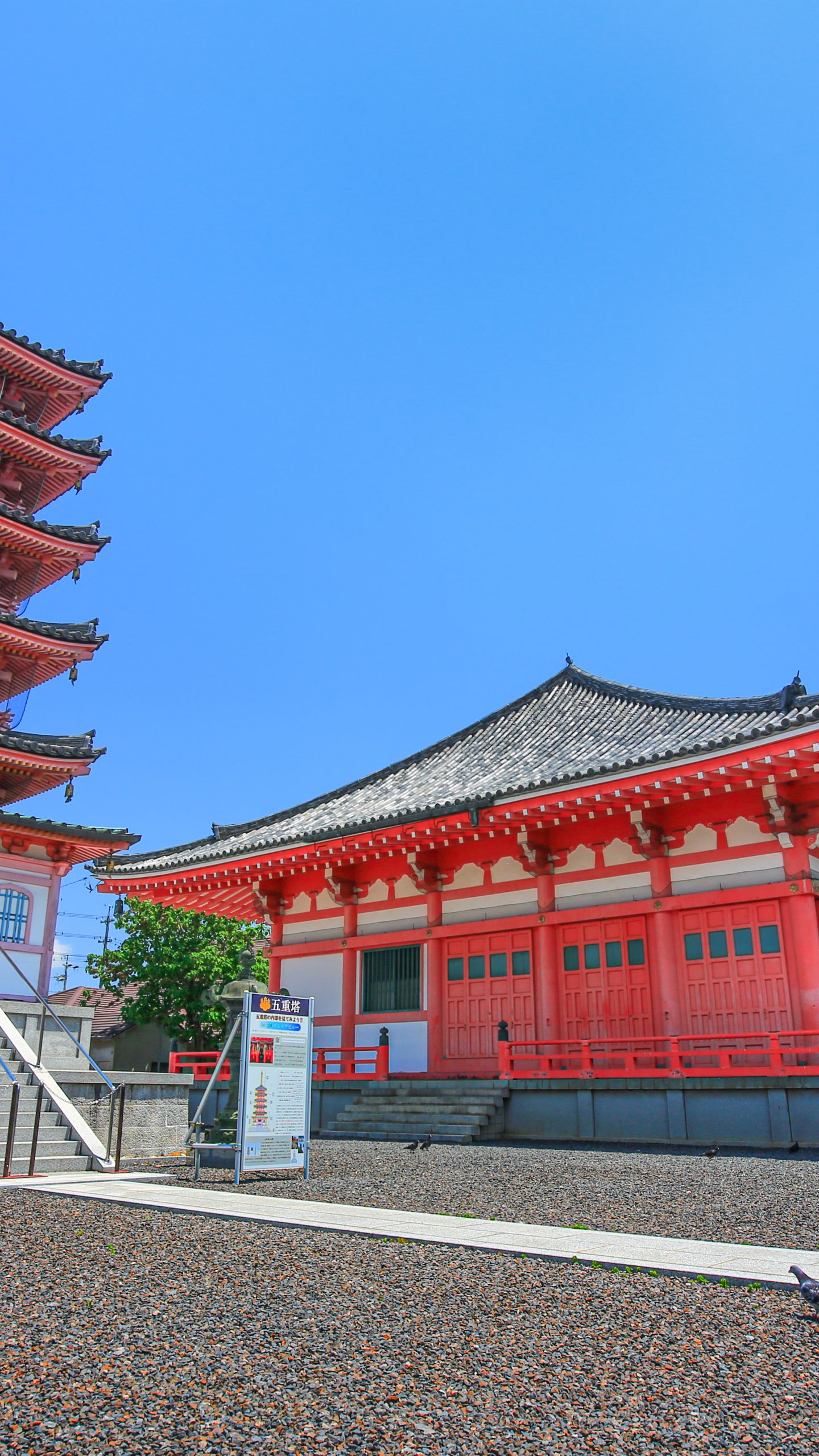 五重塔と本堂と鳩(三重県津市・津観音)