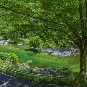 無料壁紙 車窓からの眺め（比津〜伊勢奥津駅）。PCとデスクトップ壁紙に最適な4K高画質の無料壁紙。三重県鉄道の名松線で撮影したフリー写真素材