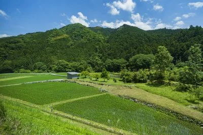 無料壁紙 車窓からの眺め（伊勢鎌倉駅周辺）。PCとデスクトップ壁紙に最適な4K高画質の無料壁紙。三重県鉄道の名松線で撮影したフリー写真素材