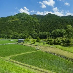 無料壁紙 車窓からの眺め（伊勢鎌倉駅周辺）。PCとデスクトップ壁紙に最適な4K高画質の無料壁紙。三重県鉄道の名松線で撮影したフリー写真素材