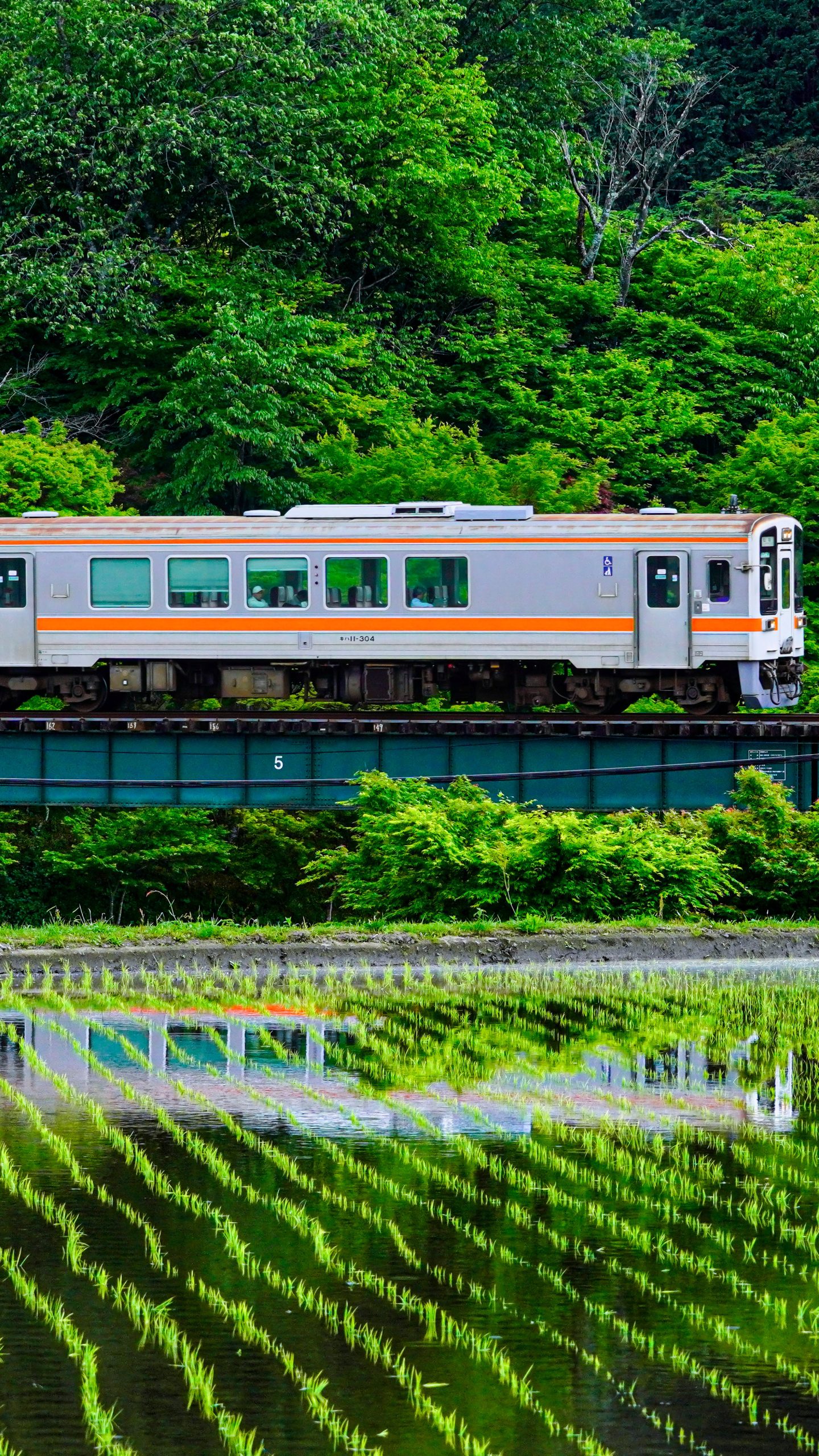 家城の新緑リフレクション(三重県鉄道・名松線)