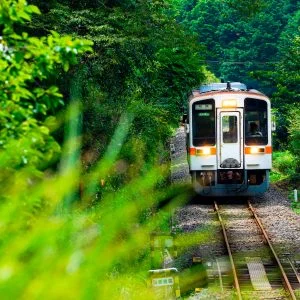 名松線のフリー素材・壁紙