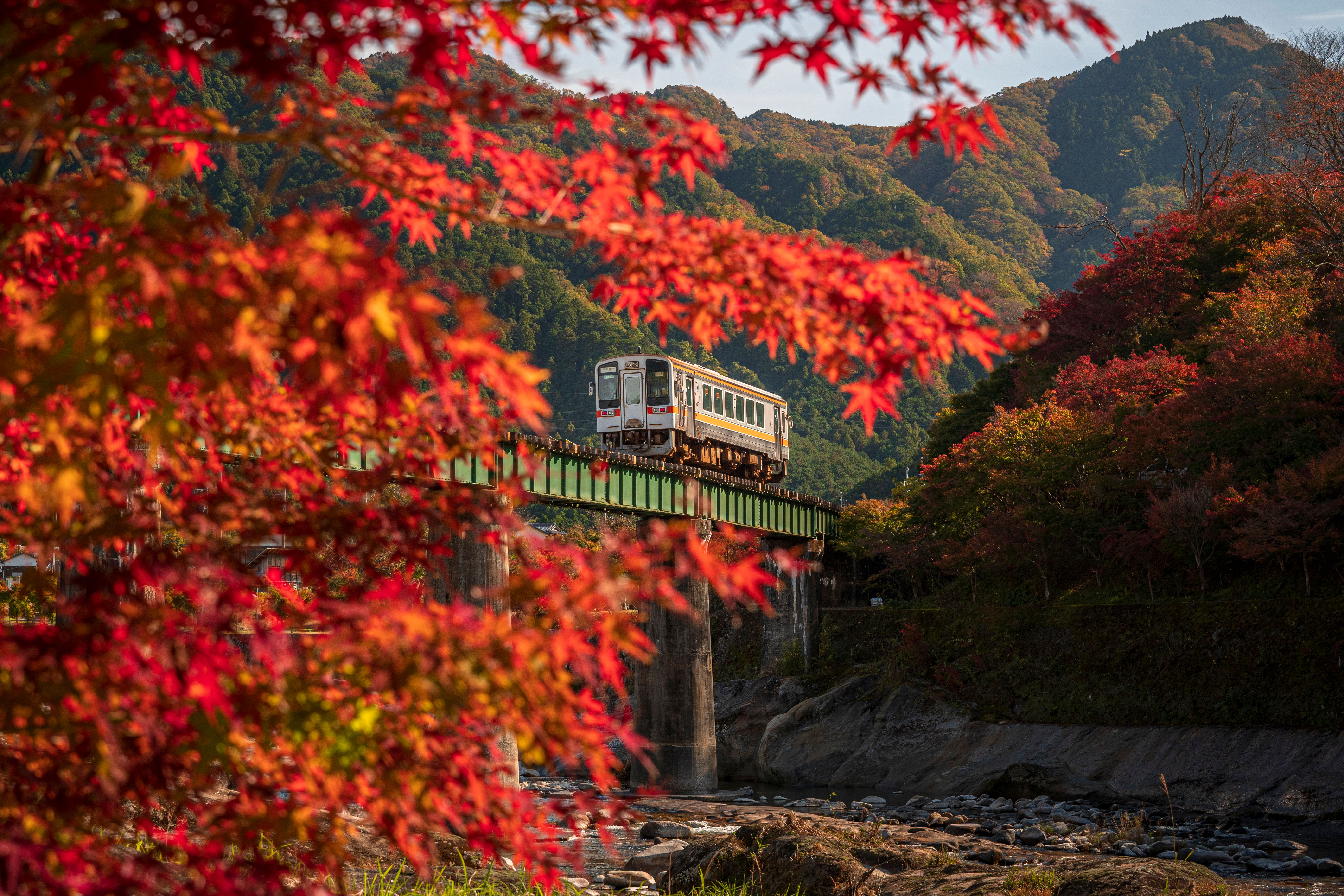 無料壁紙 紅葉の葉っぱと名松線。PCとデスクトップ壁紙に最適な4K高画質の無料壁紙。三重県鉄道の名松線で撮影したフリー写真素材