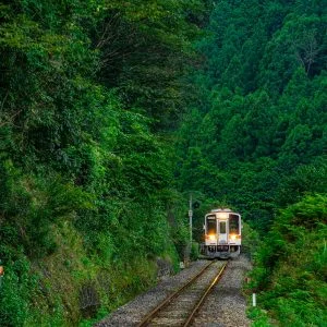 無料壁紙 比津の森。PCとデスクトップ壁紙に最適な4K高画質の無料壁紙。三重県鉄道の名松線で撮影したフリー写真素材