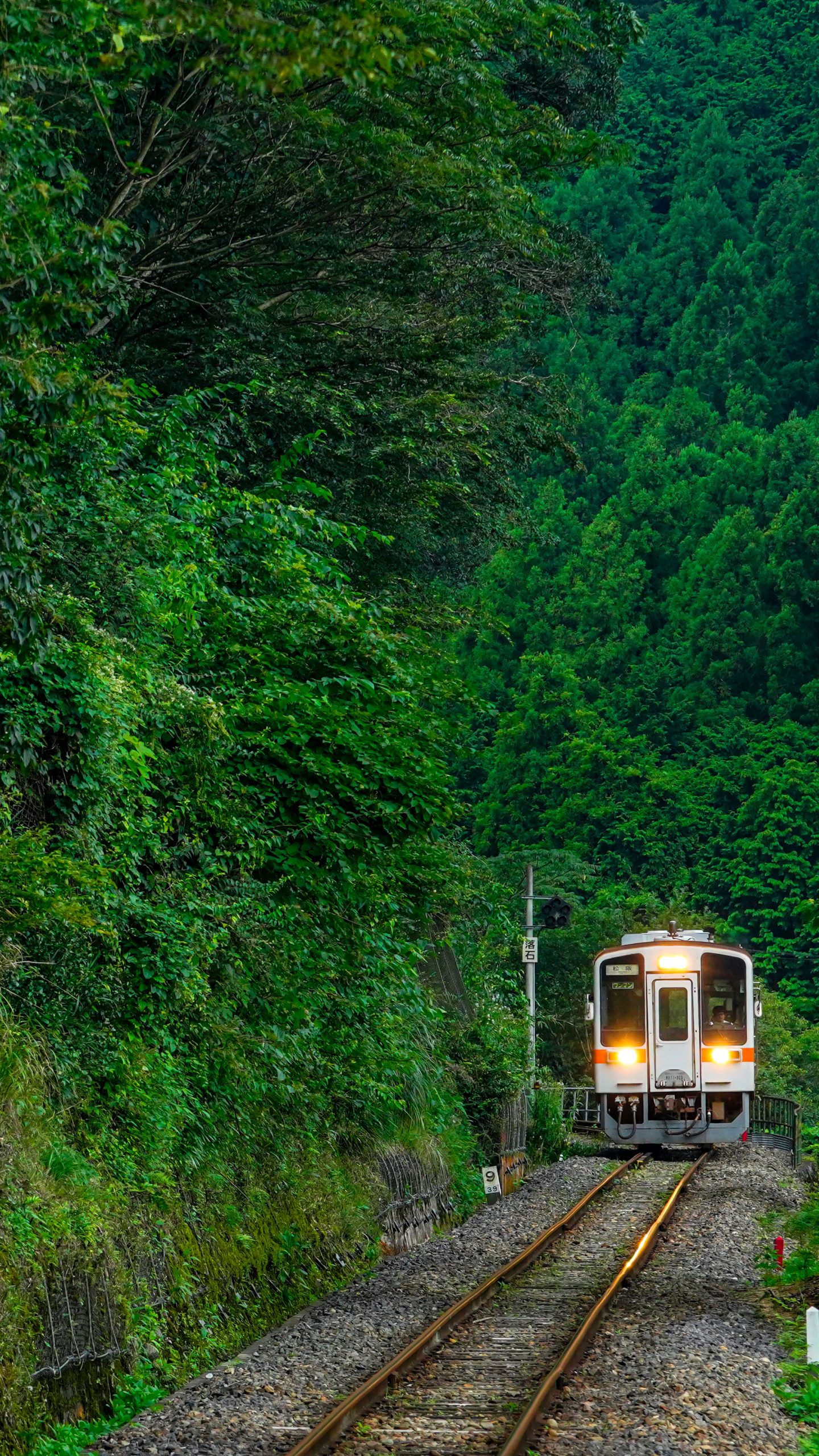 比津の森(三重県鉄道・名松線)