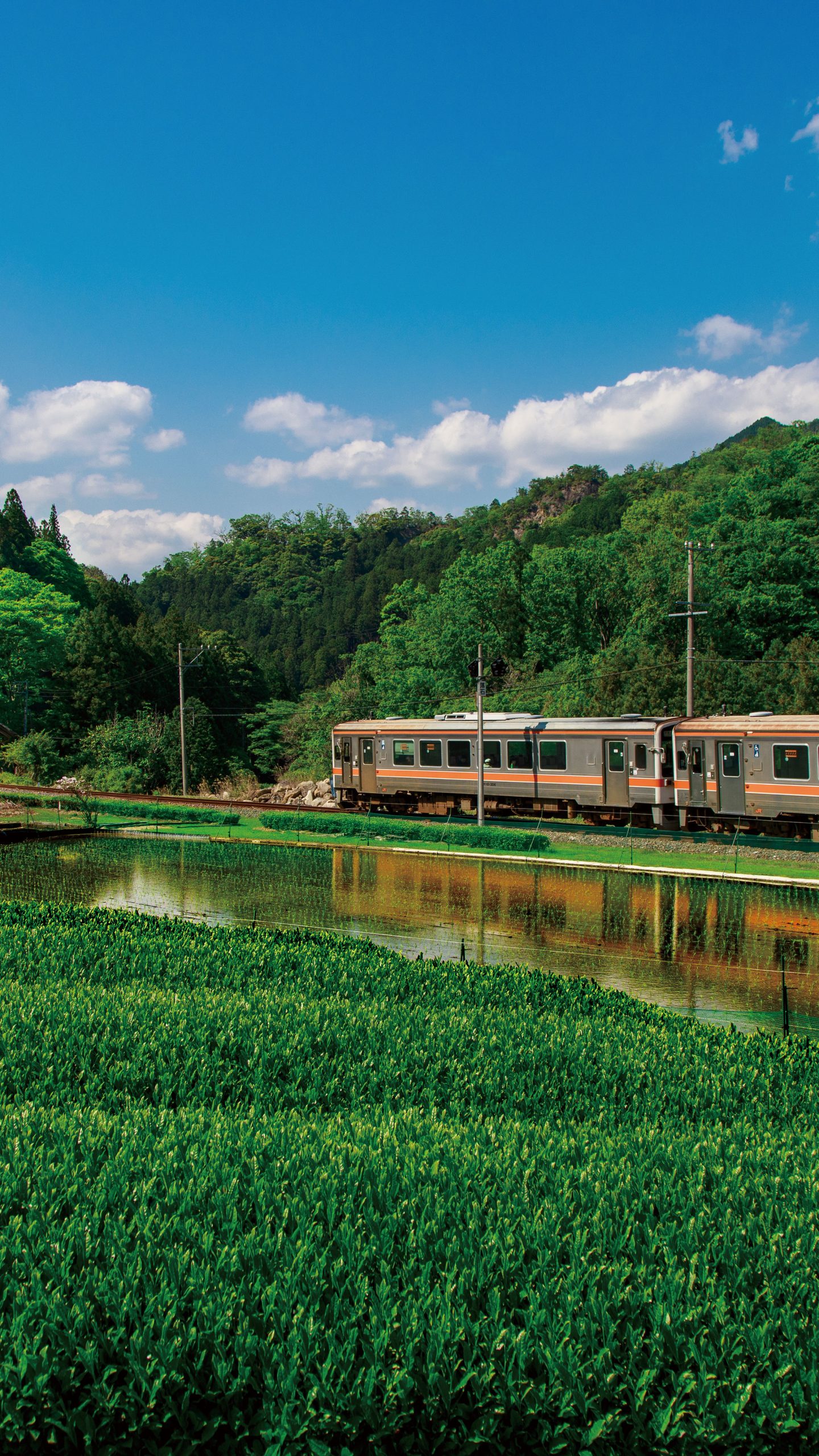 田んぼに写る名松線(三重県鉄道)