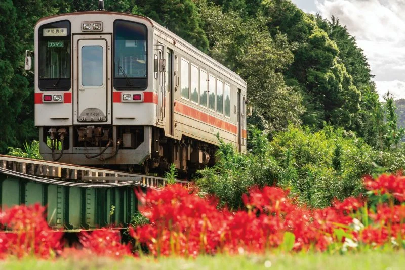 無料壁紙 川のほとりに咲く彼岸花。PCとデスクトップ壁紙に最適な4K高画質の無料壁紙。三重県鉄道の名松線で撮影したフリー写真素材