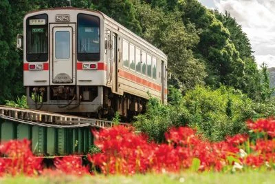 無料壁紙 川のほとりに咲く彼岸花。PCとデスクトップ壁紙に最適な4K高画質の無料壁紙。三重県鉄道の名松線で撮影したフリー写真素材