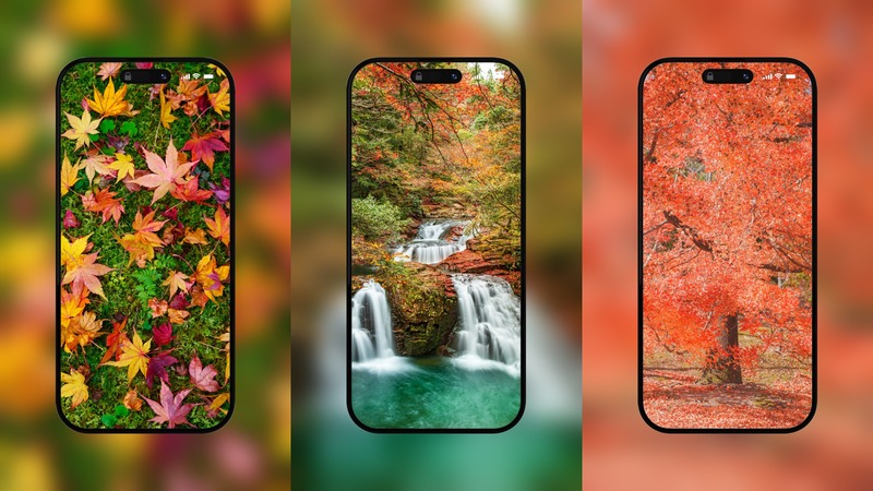 紅葉のスマホ壁紙・待ち受けが無料 🍁 おしゃれな紅葉のフリー写真素材まとめ