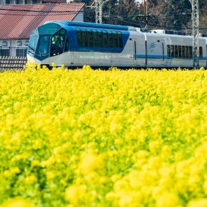 近畿日本鉄道の観光情報と写真一覧