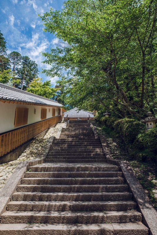 丹生大師（丹生山神宮寺）の写真「丹生大師の階段から見上げる」