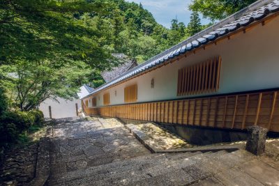 丹生大師（丹生山神宮寺）の写真「丹生大師の階段から見下ろす」