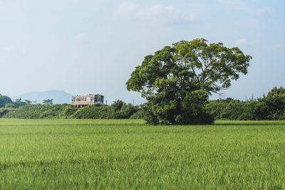 名松線の写真「名松線」