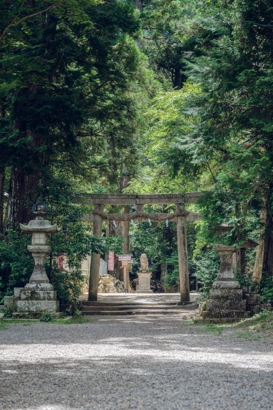 丹生大師（丹生山神宮寺）の写真「新緑の鳥居の向こうに」