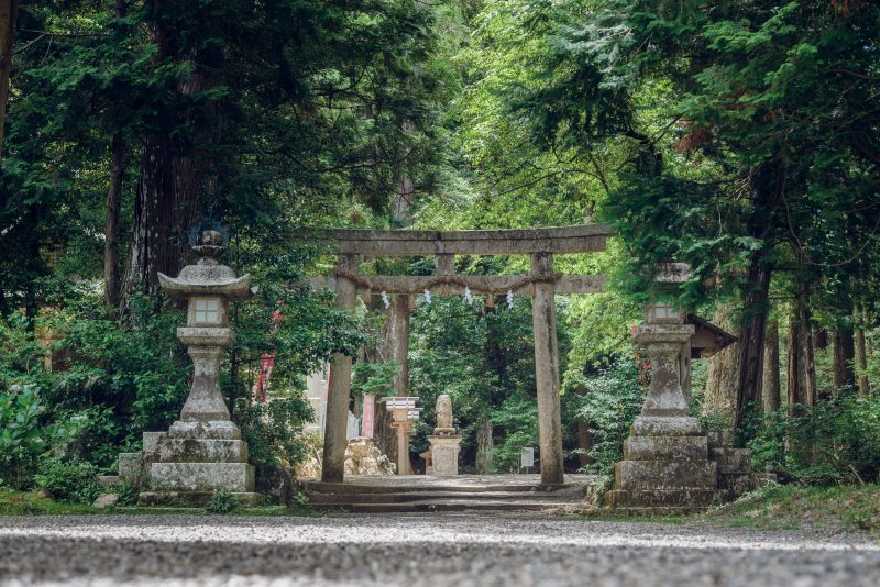 丹生大師（丹生山神宮寺）の写真「新緑の鳥居と境内」