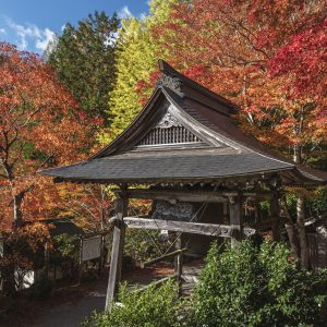 泰運寺の紅葉