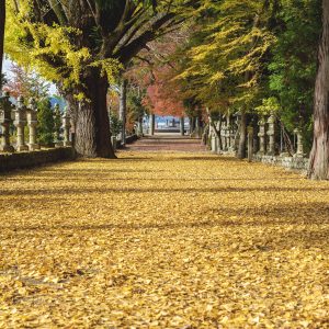 積田神社