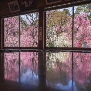 結城神社 リフレクション