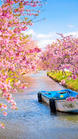 無料壁紙 絵になる船。PCとデスクトップ壁紙に最適な4K高画質の無料壁紙。三重県松阪市の笠松河津桜ロードで撮影したフリー写真素材