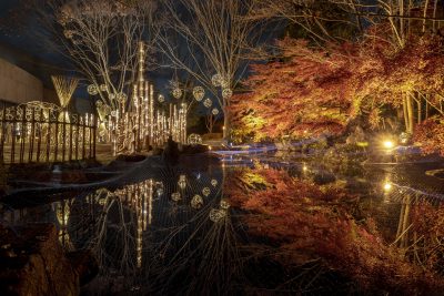 そうぶんの竹あかりの写真「総文の竹灯り」