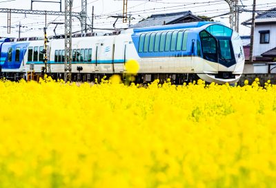 斎宮の菜の花畑の写真「菜の花に包まれるしまかぜ」