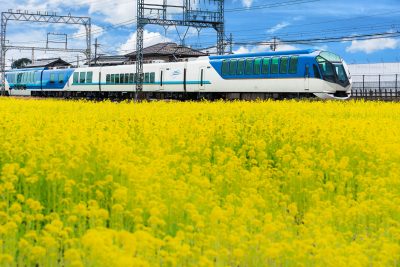 斎宮の菜の花畑の写真「近鉄のポスターみたいな構図」