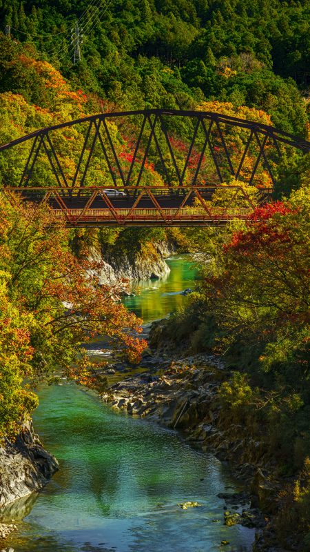 無料スマホ壁紙「香肌峡の紅葉」