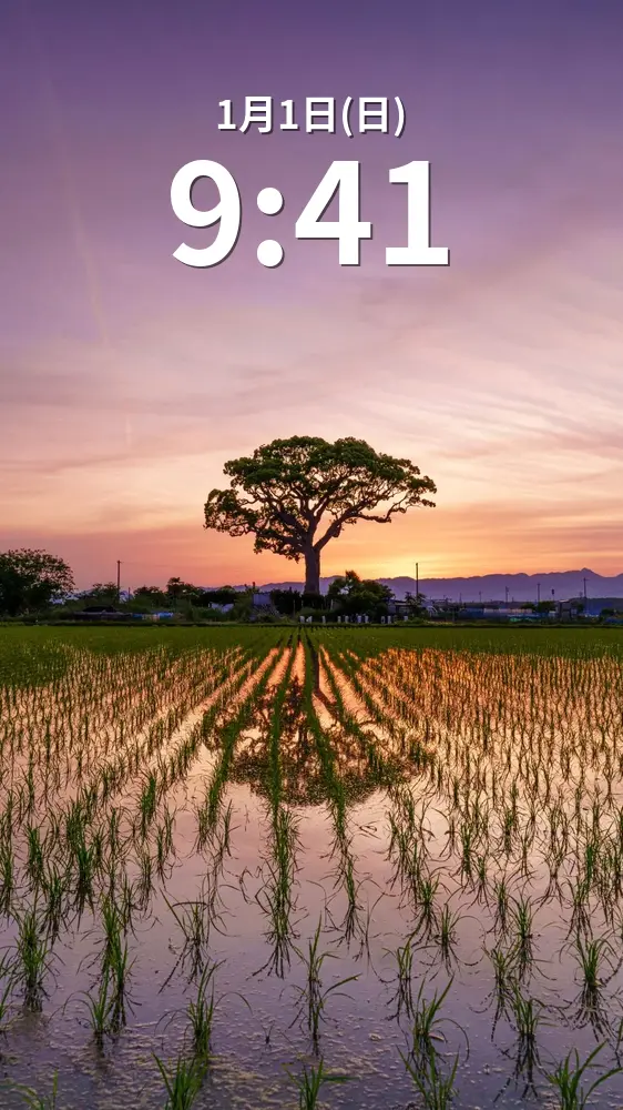 無料スマホ壁紙 夕闇グラデーション。AndroidとiPhoneに対応した4K高画質の無料待ち受け画像。三重県鈴鹿市の長太の大楠で撮影したフリー写真素材