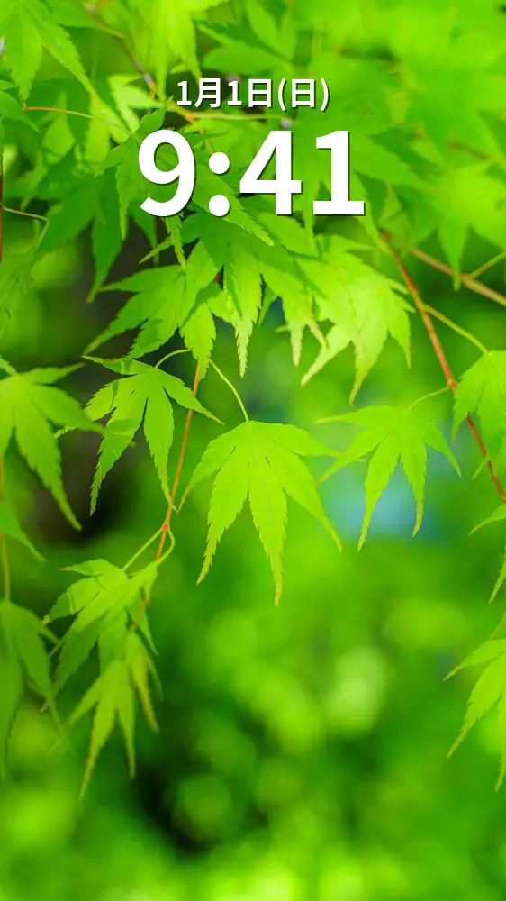 無料スマホ壁紙 青葉。AndroidとiPhoneに対応した4K高画質の無料待ち受け画像。三重県津市の河内渓谷で撮影したフリー写真素材