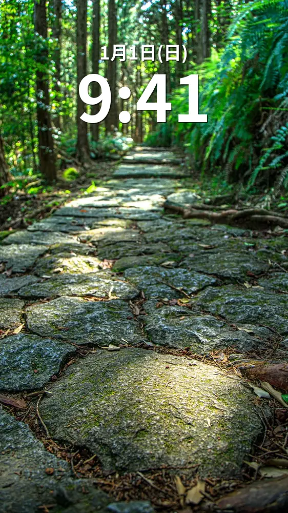 無料スマホ壁紙 新緑の石畳。AndroidとiPhoneに対応した4K高画質の無料待ち受け画像。三重県熊野市の松本峠で撮影したフリー写真素材