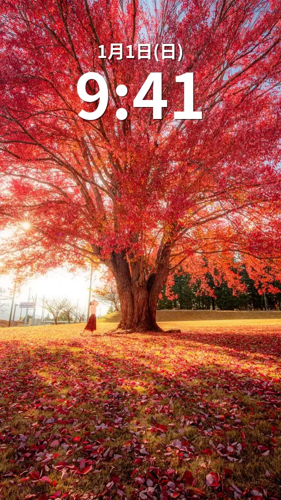 無料スマホ壁紙 光り輝くハナノキ。AndroidとiPhoneに対応した4K高画質の無料待ち受け画像。三重県松阪市の飯南高校のハナノキで撮影したフリー写真素材