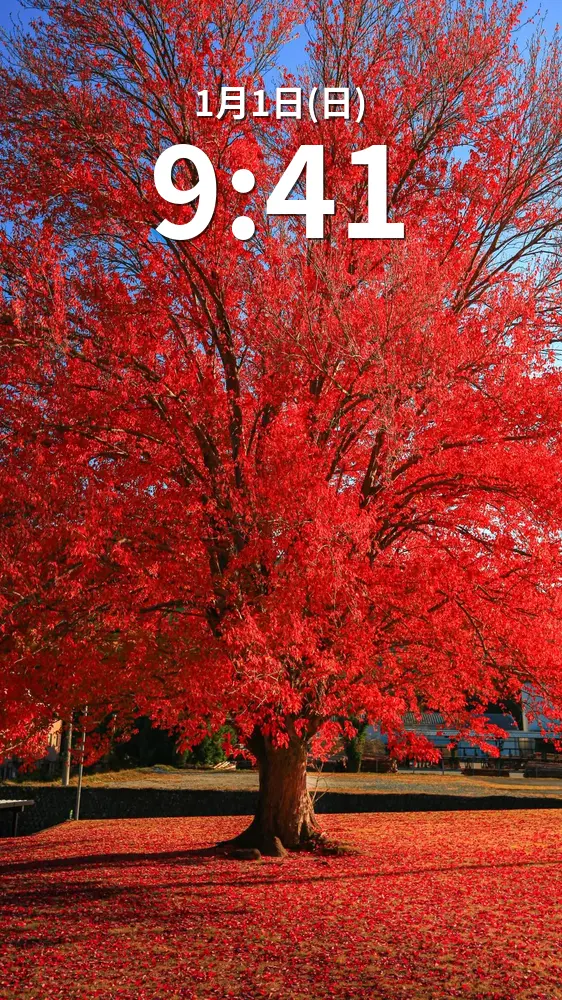 無料スマホ壁紙 紅のハナノキ。AndroidとiPhoneに対応した4K高画質の無料待ち受け画像。三重県松阪市の飯南高校のハナノキで撮影したフリー写真素材